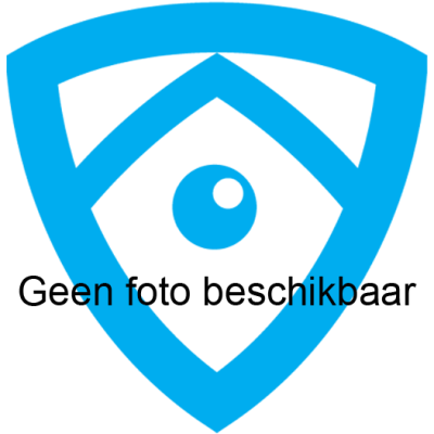 Tiny Hol, wijkagent Hardinxveld-Giessendam